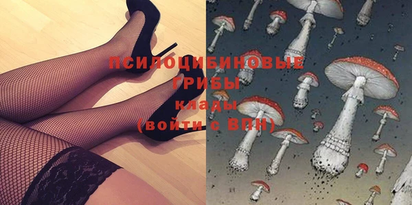мет Лагань